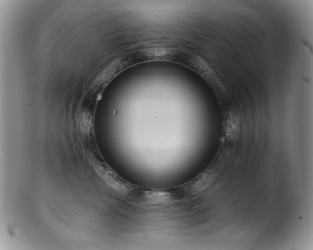 X0000100880476200806201250