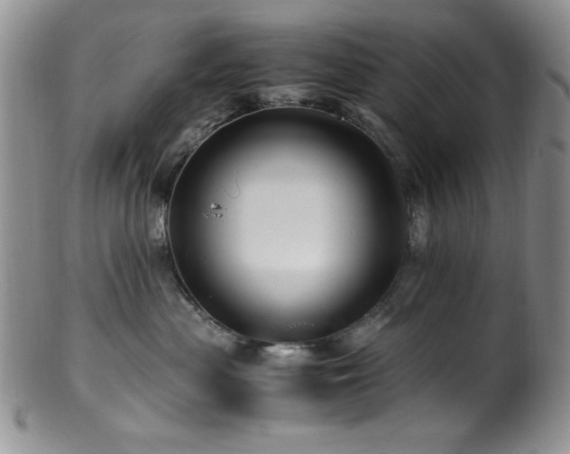 X0000100880477200806201250