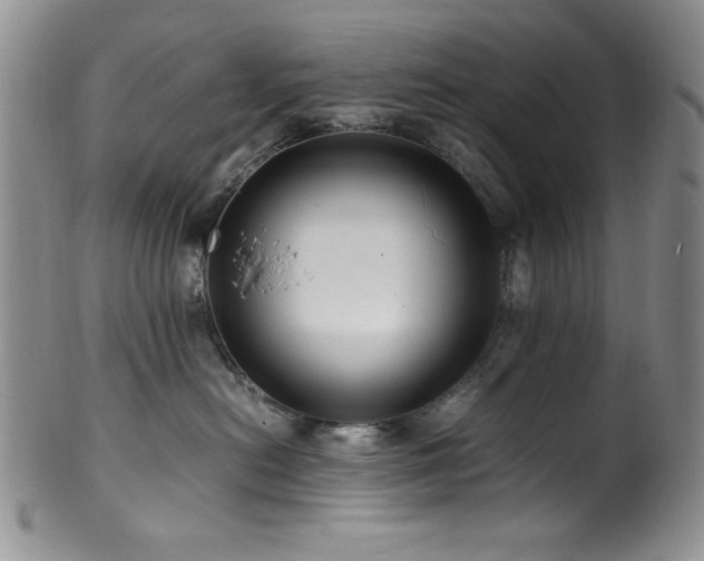 X0000100880478200806201250