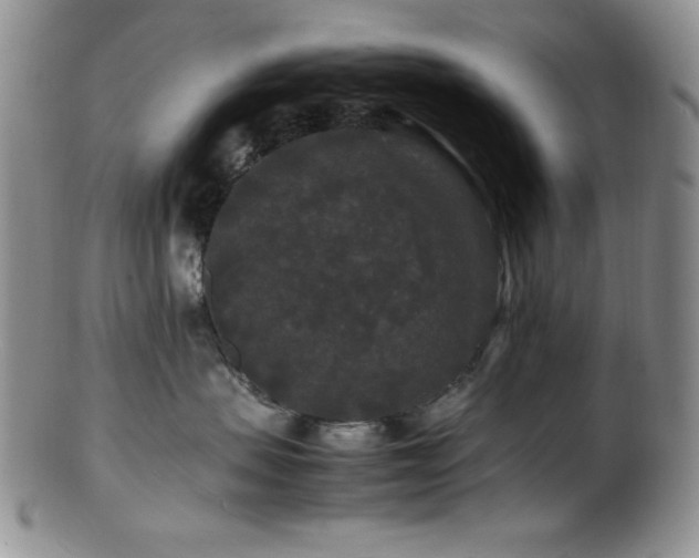 X0000100880479200806201250