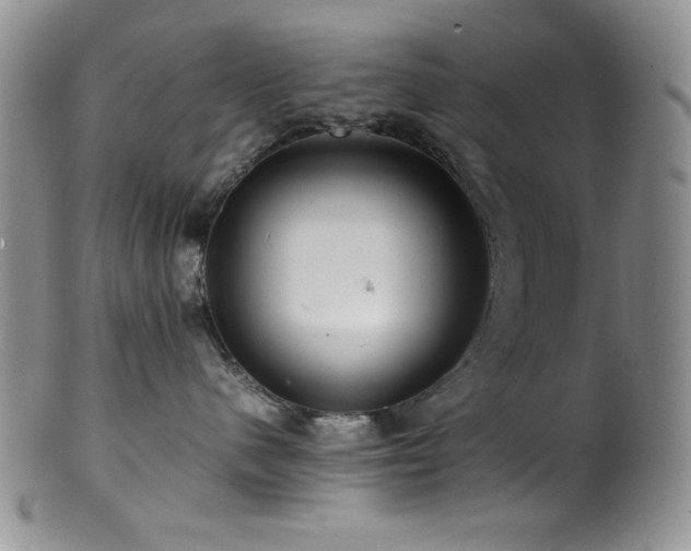 X0000100880480200806201250