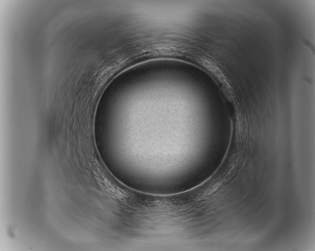 X0000100880481200806201250