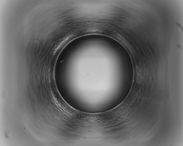 X0000100880482200806201250