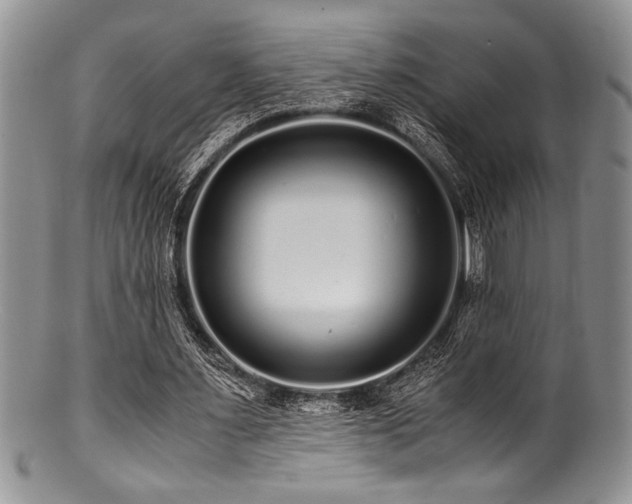 X0000100880483200806201250