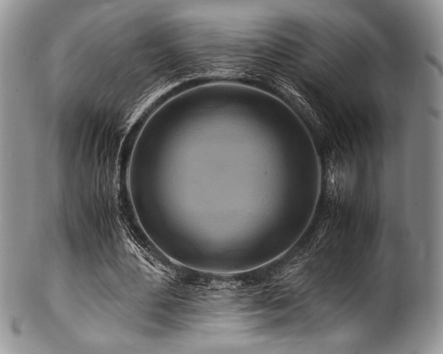 X0000100880484200806201250