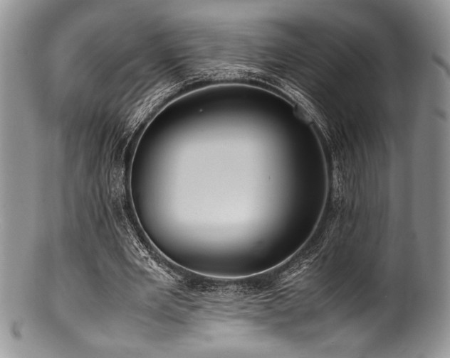 X0000100880485200806201250