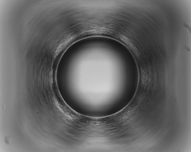 X0000100880486200806201250