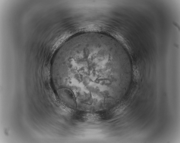 X0000100880487200806201250