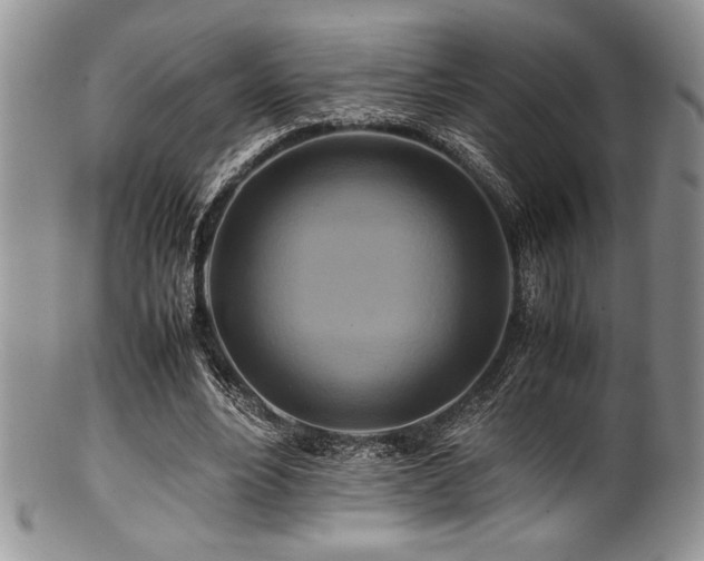 X0000100880488200806201250