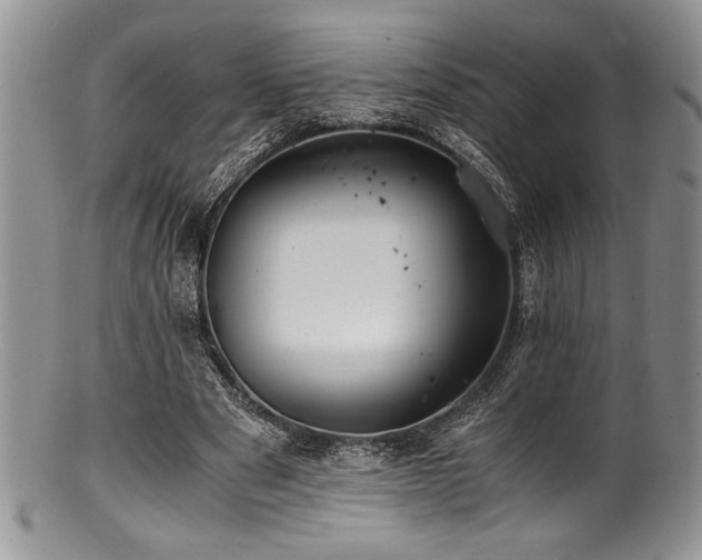 X0000100880489200806201249