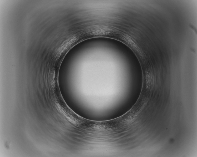 X0000100880490200806201249