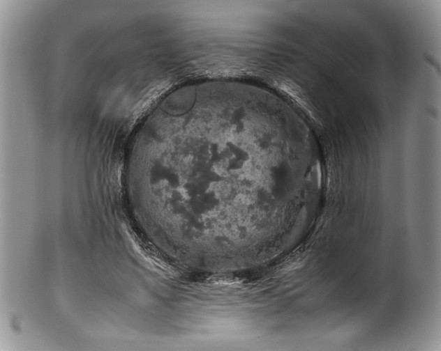 X0000100880491200806201249