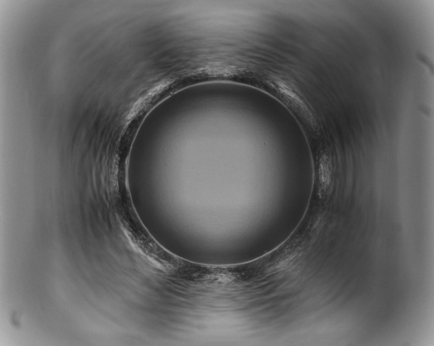 X0000100880492200806201249