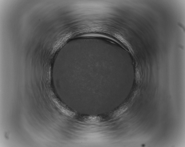 X0000100880493200806201249