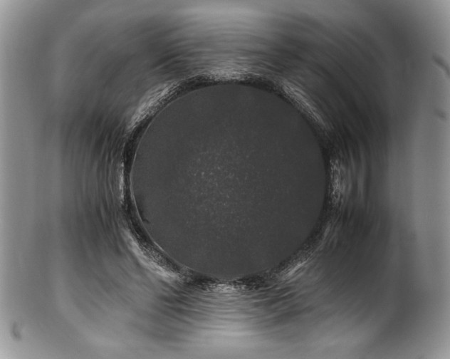 X0000100880494200806201249