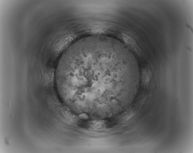 X0000100880495200806201249