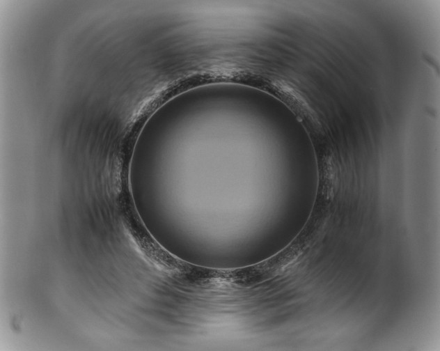 X0000100880496200806201249