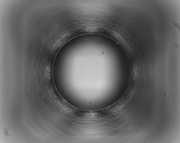 X0000100880497200806201249