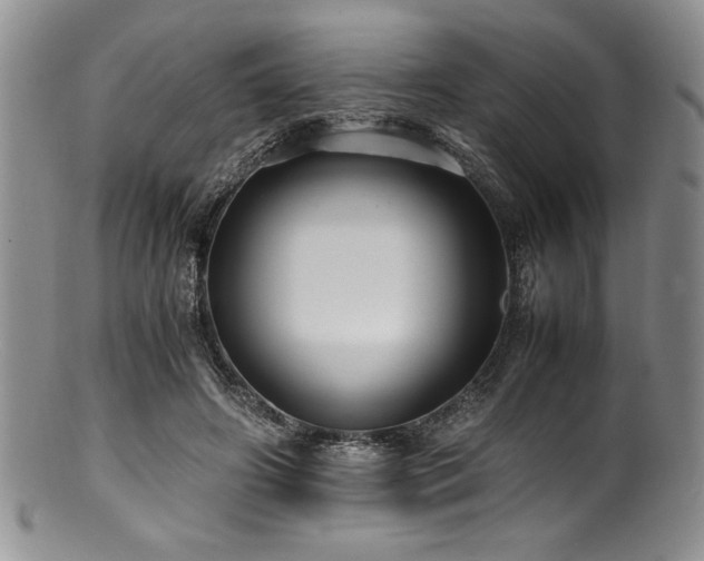 X0000100880498200806201249