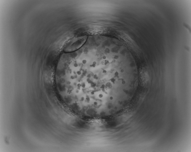 X0000100880499200806201249