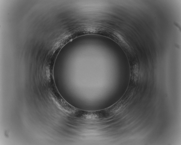 X0000100880500200806201249