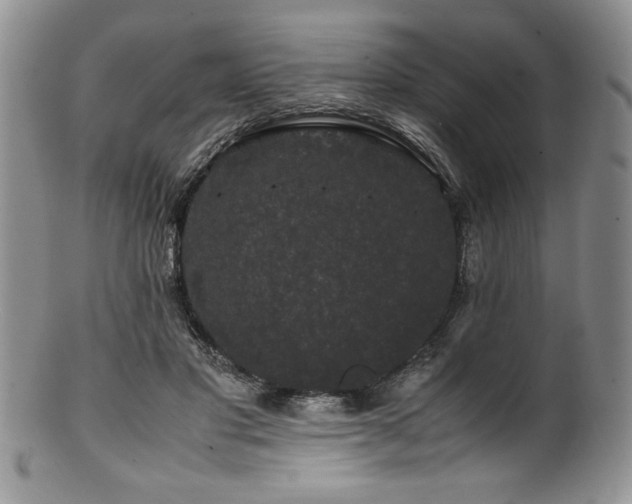 X0000100880501200806201249