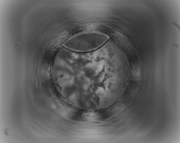 X0000100880503200806201249