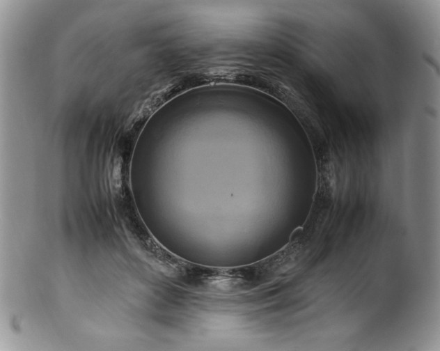 X0000100880504200806201249