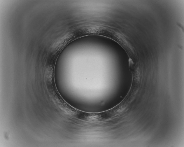 X0000100880505200806201249