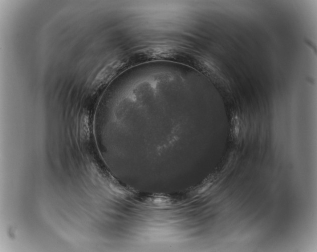 X0000100880506200806201249