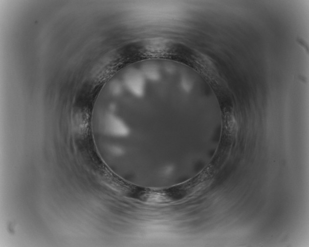 X0000100880507200806201249