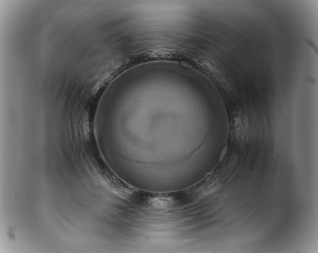 X0000100880508200806201249