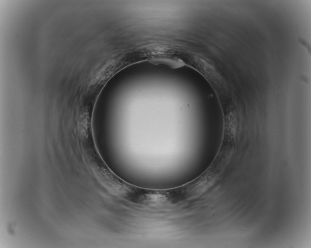 X0000100880509200806201249