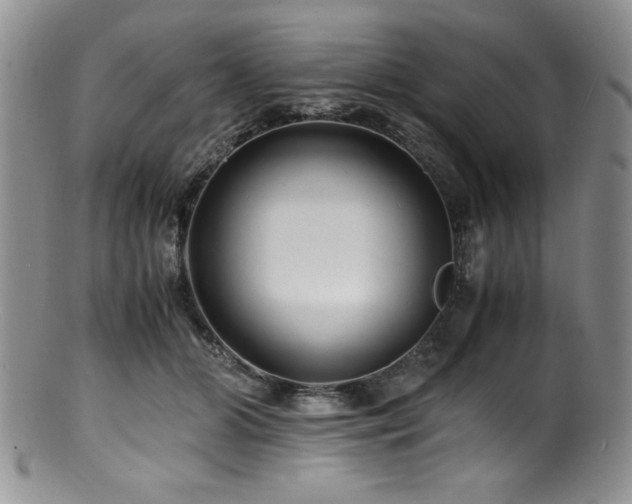 X0000100880510200806201249