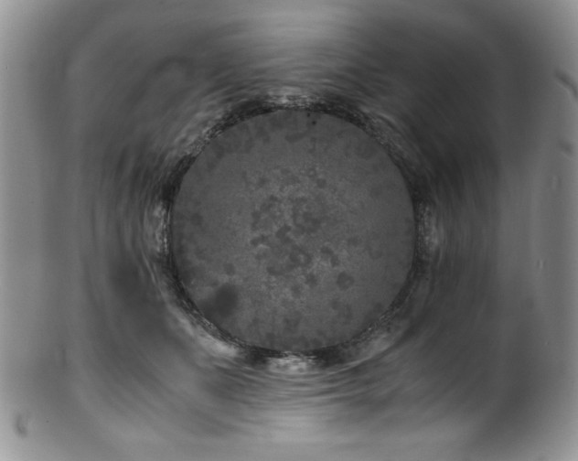 X0000100880511200806201249