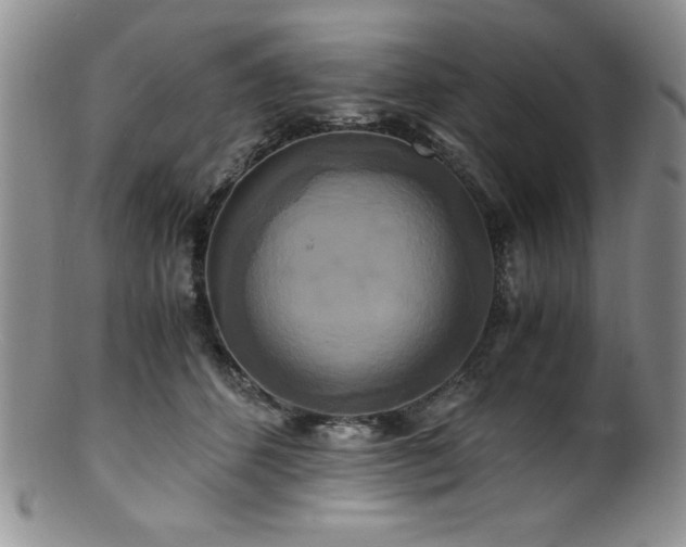 X0000100880512200806201249