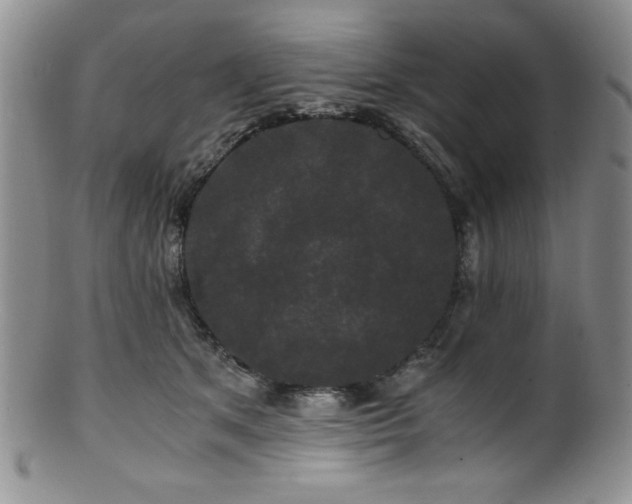 X0000100880513200806201249