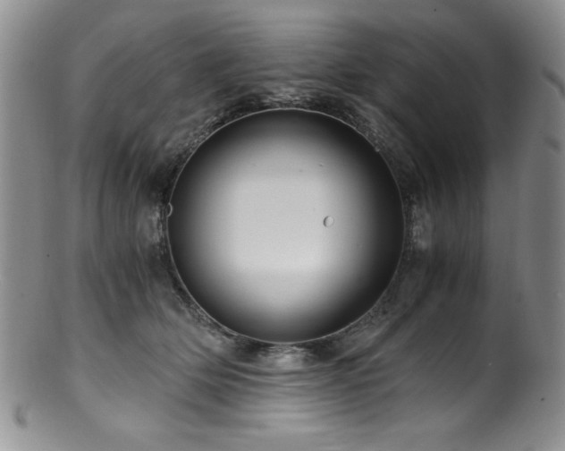 X0000100880514200806201249