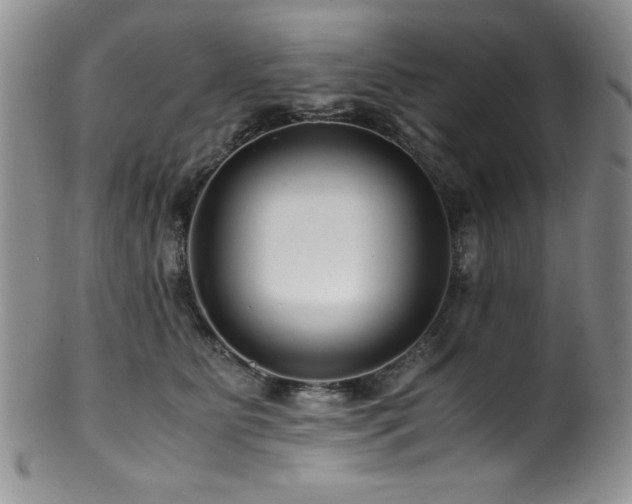 X0000100880515200806201249