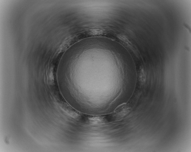 X0000100880516200806201249