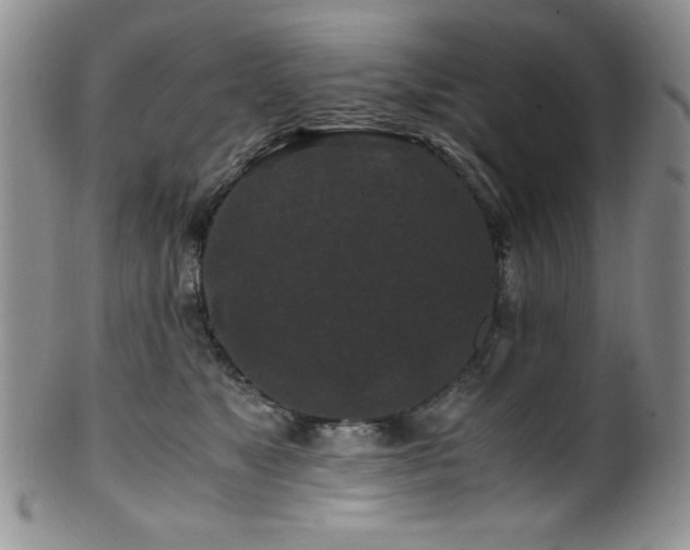 X0000100880517200806201249