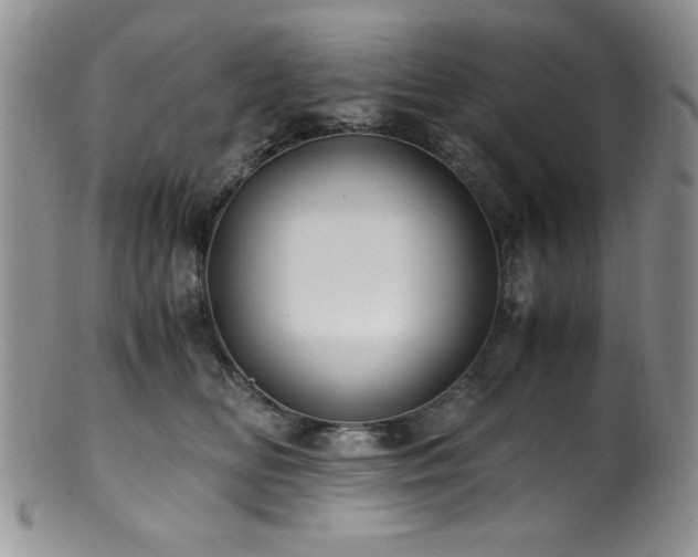 X0000100880518200806201249