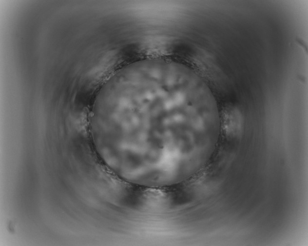 X0000100880519200806201249