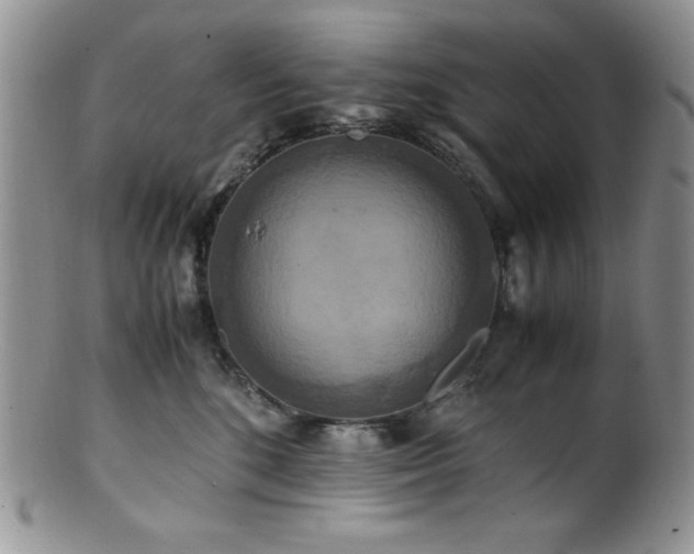 X0000100880520200806201249