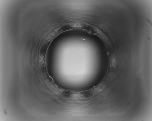 X0000100880521200806201249