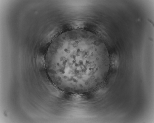 X0000100880523200806201249