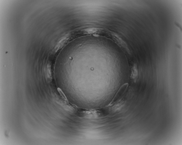 X0000100880524200806201249