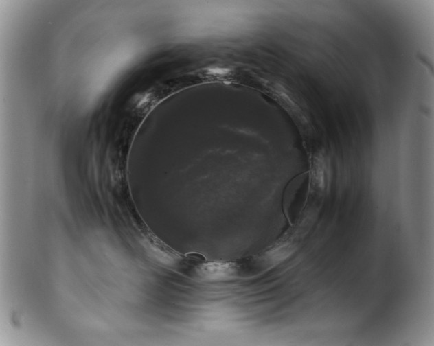 X0000100880526200806201249