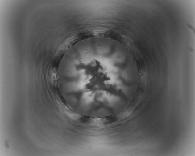 X0000100880527200806201249