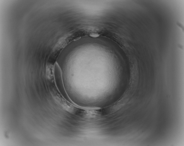 X0000100880528200806201249